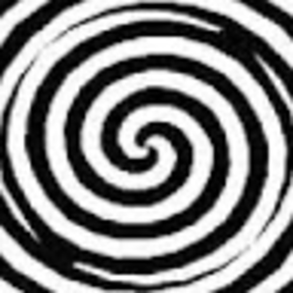 Meet your Posher, Sabrina - Picture 1 of 1